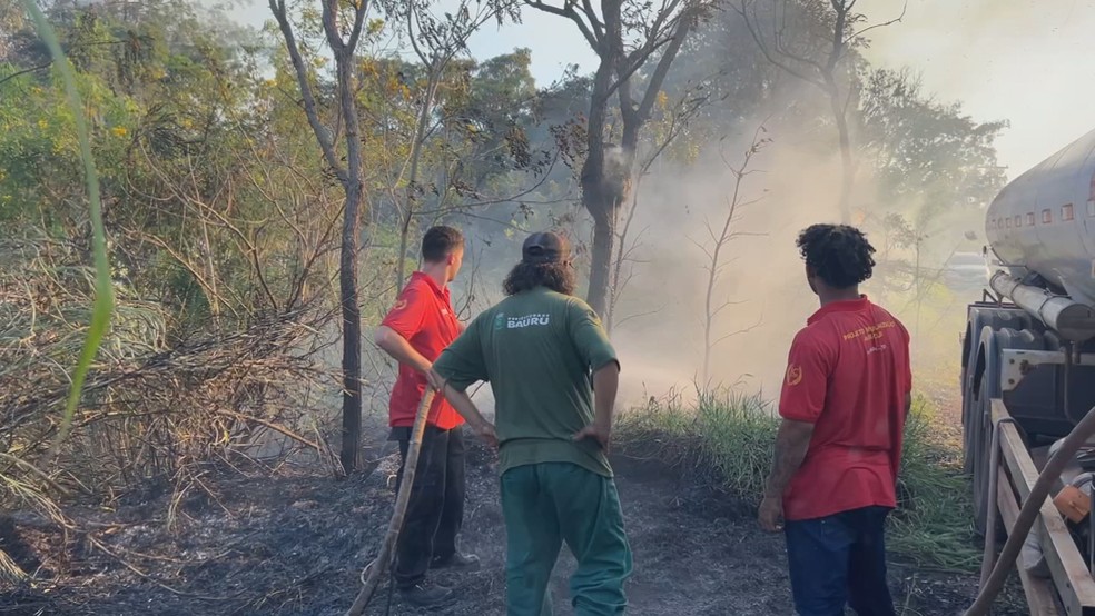 3 de 3
Inc&ecirc;ndio destr&oacute;i 50 mil m&sup2; de vegeta&ccedil;&atilde;o pr&oacute;xima ao Horto Florestal em Bauru &mdash; Foto: Marcelo Risso/TV TEM