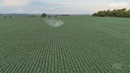 Conheça as novidades tecnológicas do campo na Tecnoshow