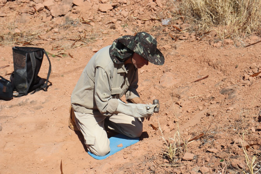 Paleontólogo William Nava realizando escavação em sítio paleontológico, em Presidente Prudente (SP) — Foto: Leonardo Bosisio/g1