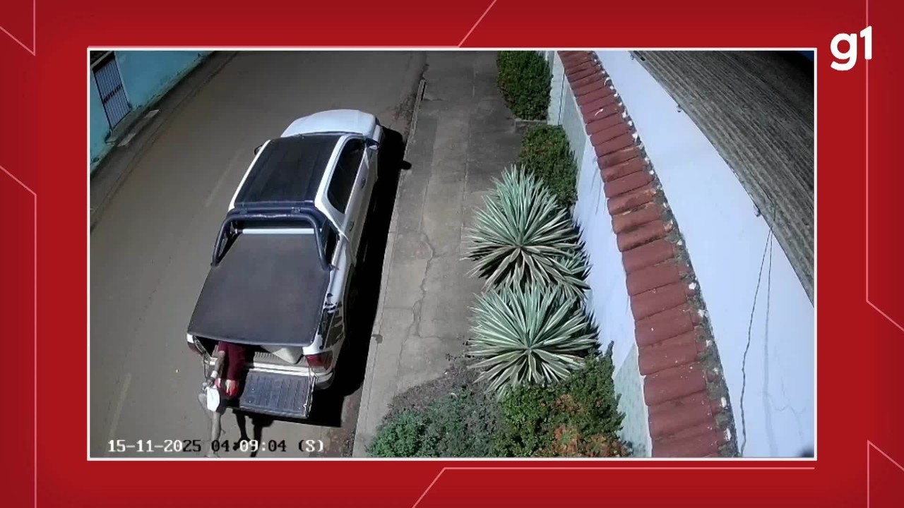 Imagem de câmera de segurança ajuda a identificar homem que furtou mala em Alenquer