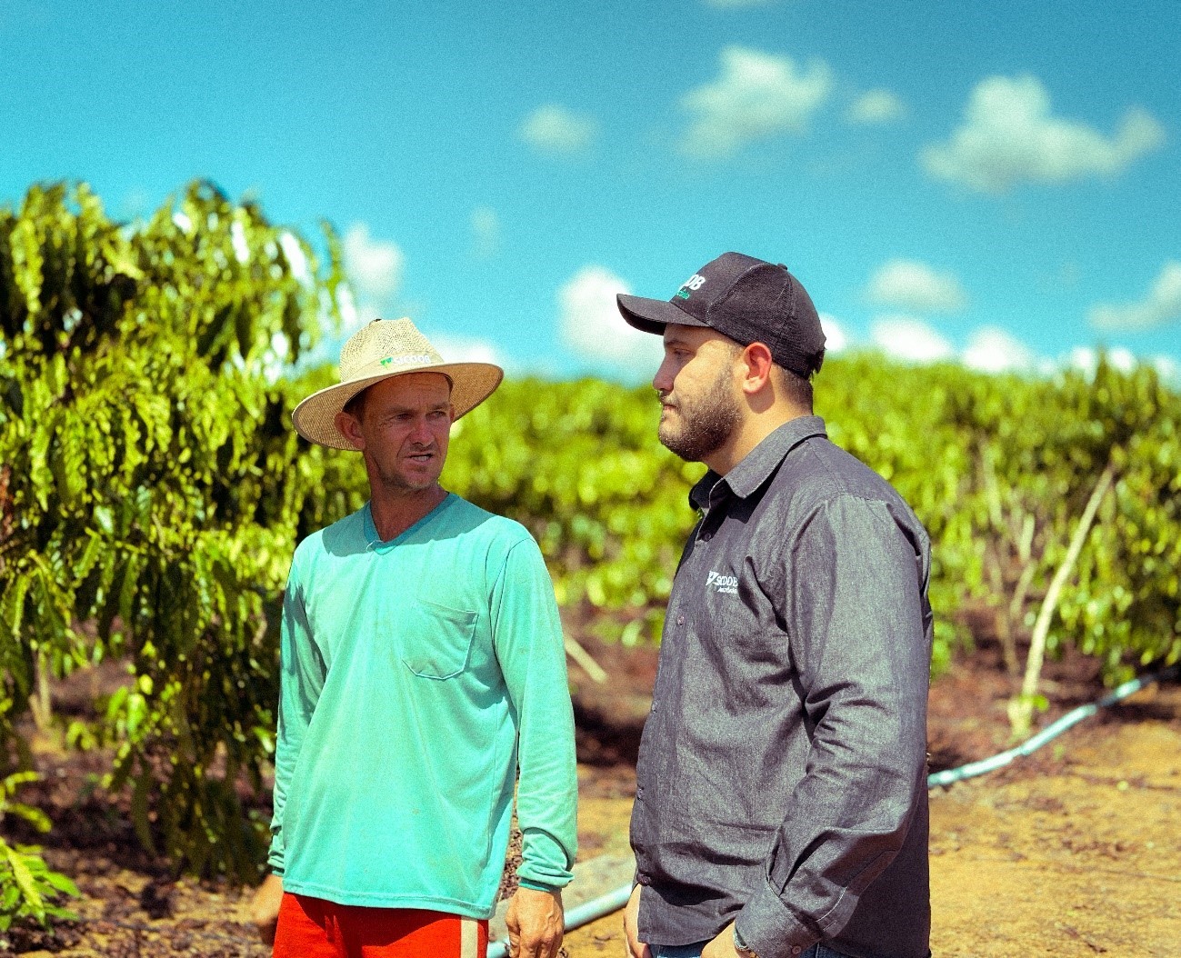 Sicoob Amazônia celebra o dia do cooperado com crescimento e conquistas notáveis