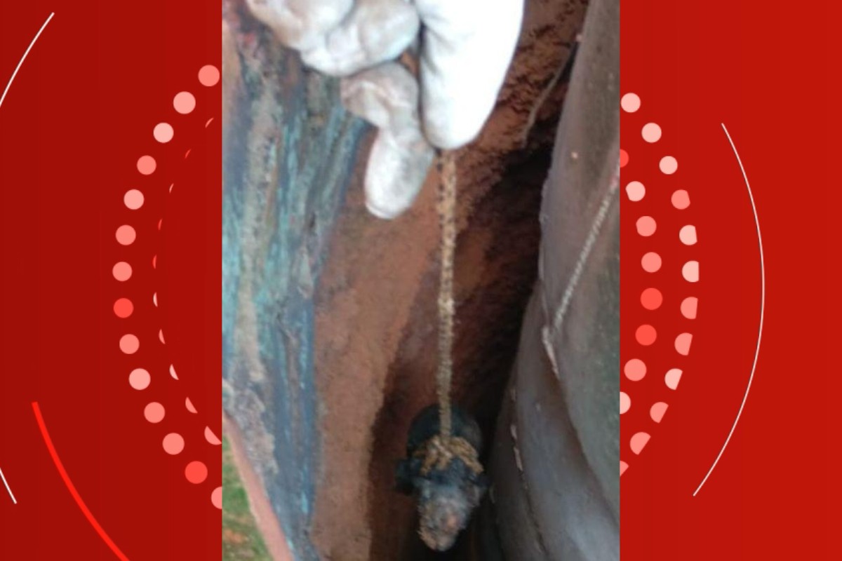 VÍDEO mostra resgate de filhote de cachorro que caiu em cisterna com água em MT