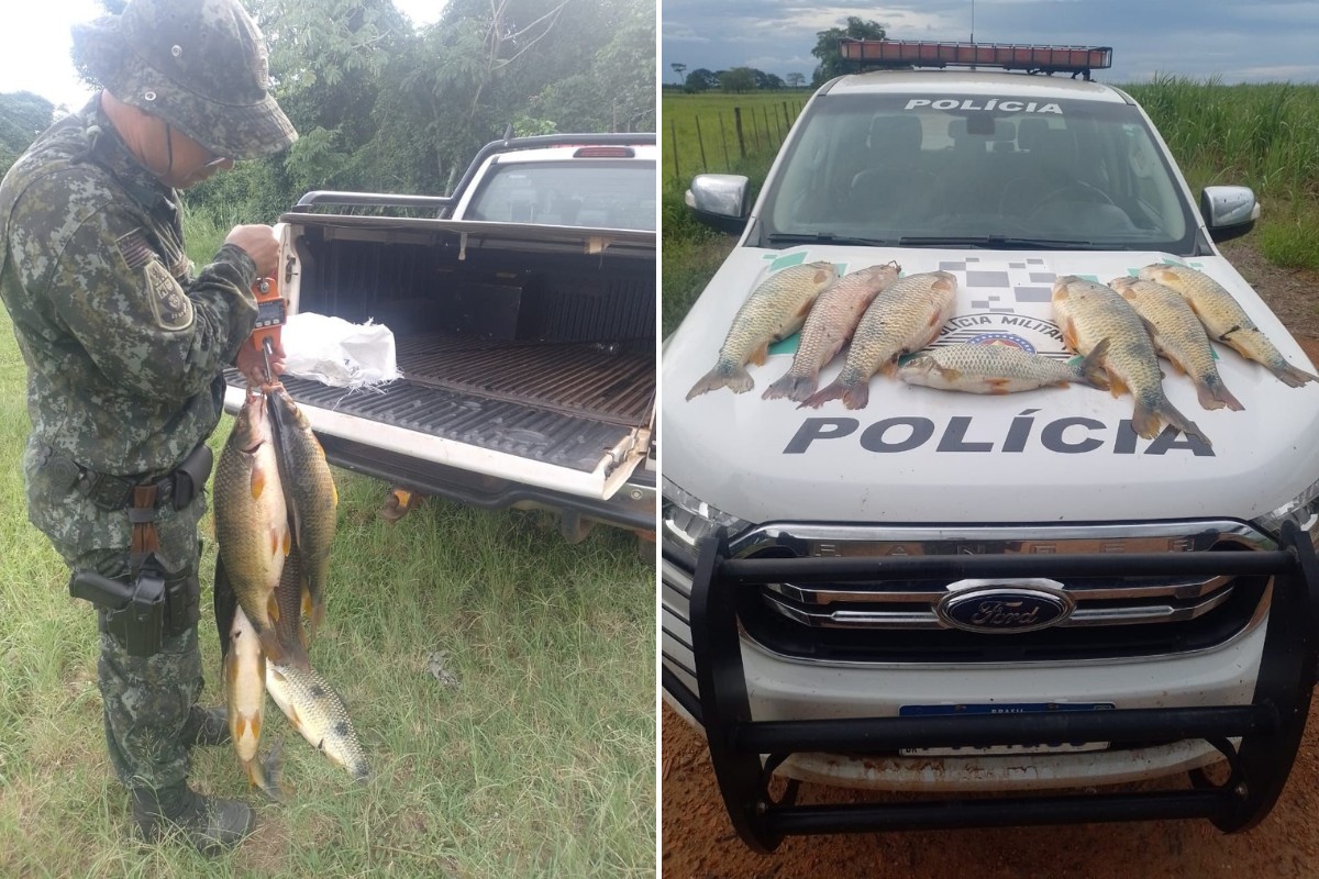 Homem é multado por capturar 23 kg de peixes durante a Piracema em Paulicéia
