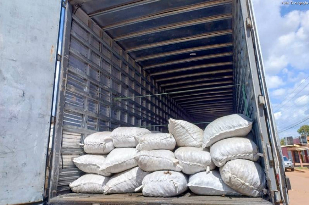 Com nota fiscal fraudada, carga de 18 toneladas de castanhas do Pará é apreendida em Dom Eliseu 