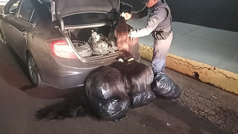 Polícia apreende mais de 230 quilos de cabelo humano em rodovia de Regente Feijó (SP) — Foto: Reprodução/Polícia Rodoviária