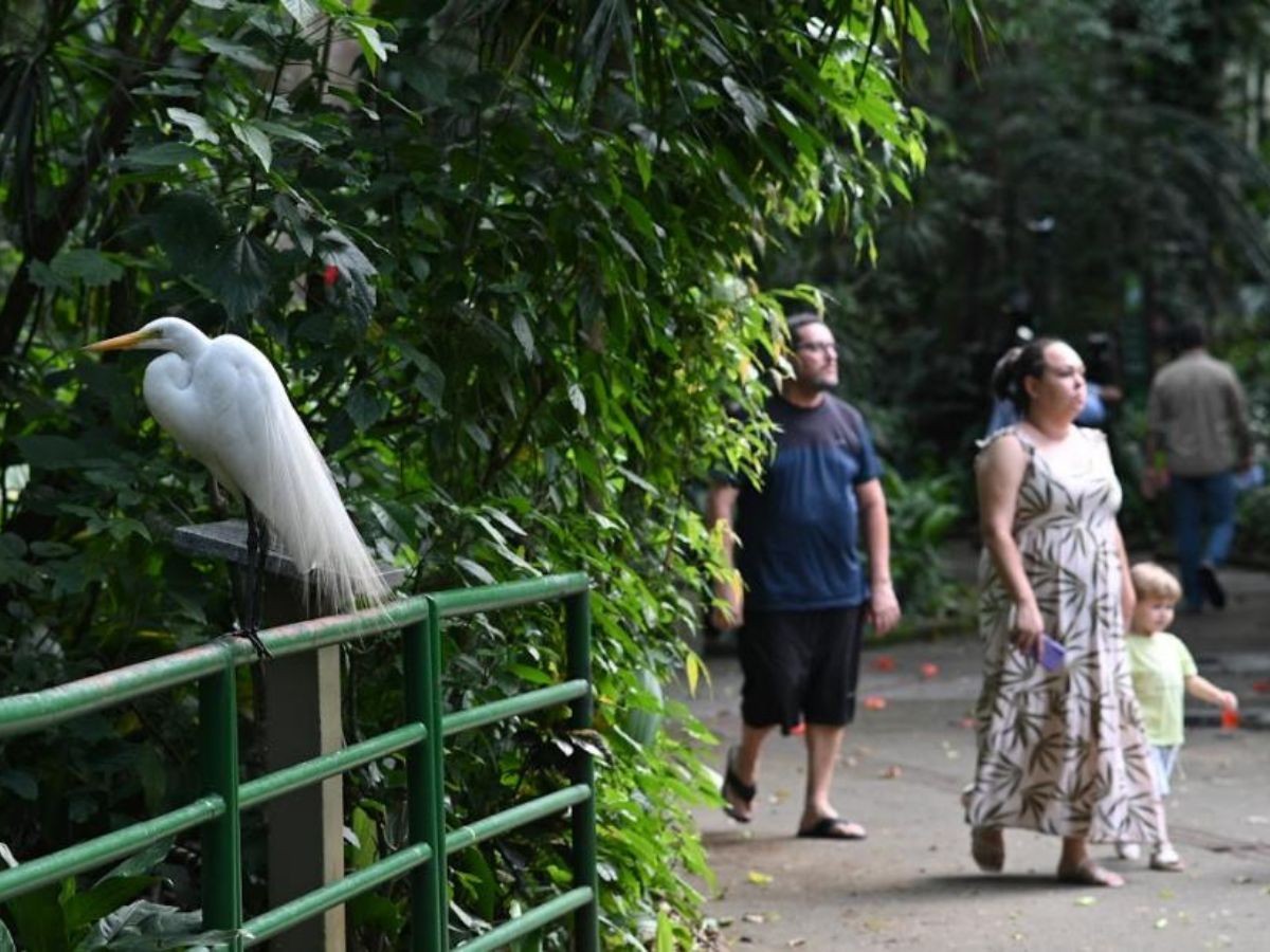 Santos fica em 5º lugar entre as melhores cidades do Estado de SP em sustentabilidade; veja o ranking 