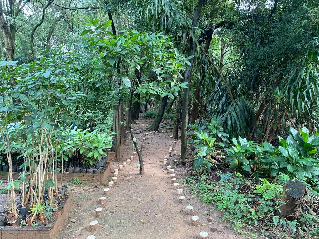 Semea institui Centro Municipal de Educação Ambiental no Jardim Jequitibás, em Presidente Prudente