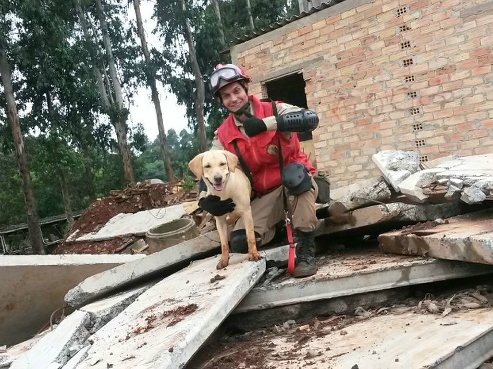Cadela Sharon, que conquistou a certificação internacional de cão de resgate após ser aprovada em provas realizadas em Santa Catarina.  — Foto: Corpo de Bombeiros de Mato Grosso