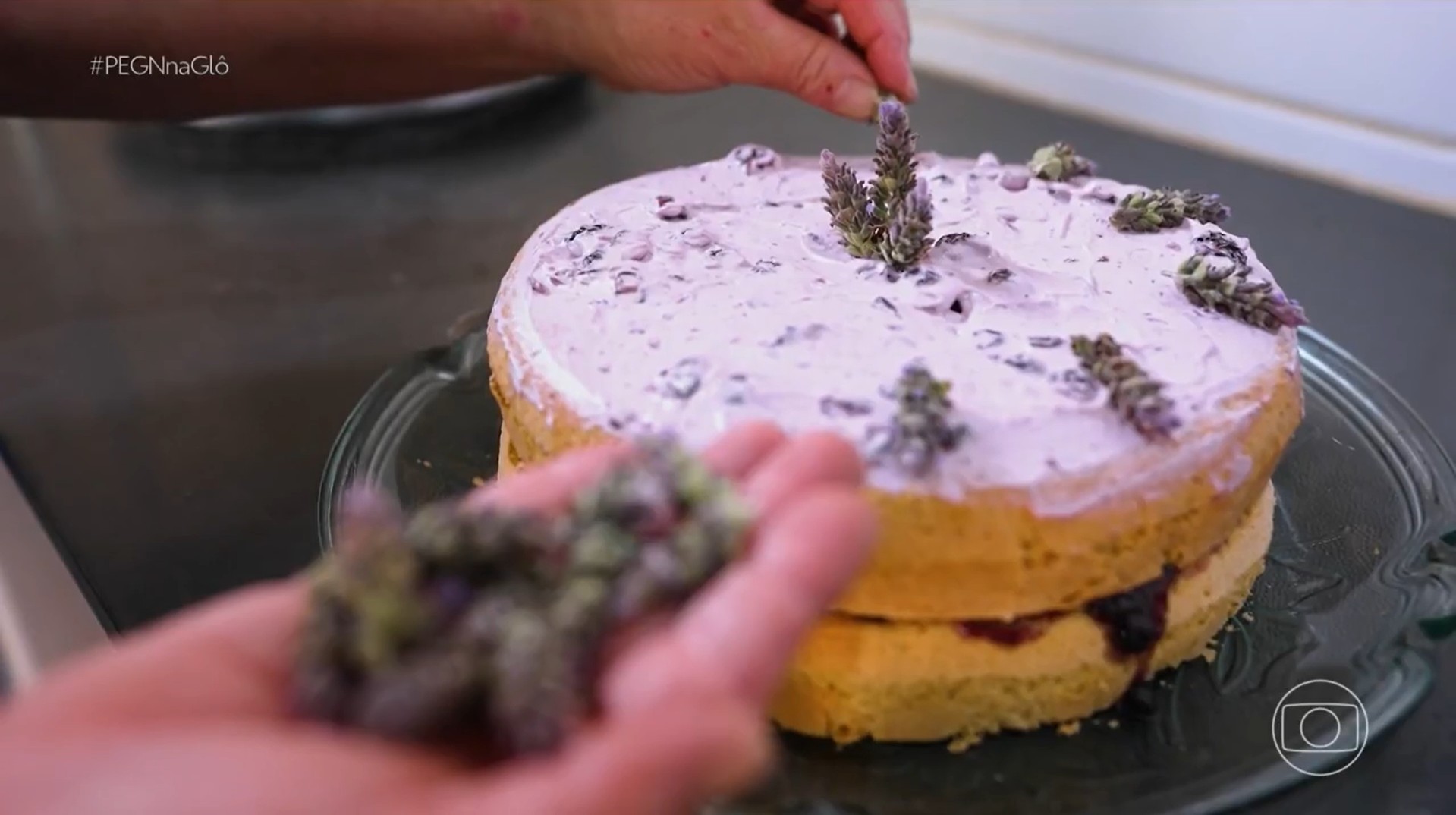 Como plantação de lavanda virou negócio que atrai turistas e rende R$ 200 mil