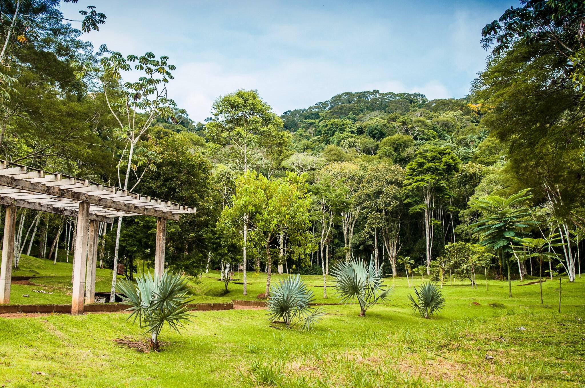 Jardim Botânico em Juiz de Fora: veja atrativos e saiba como visitar
