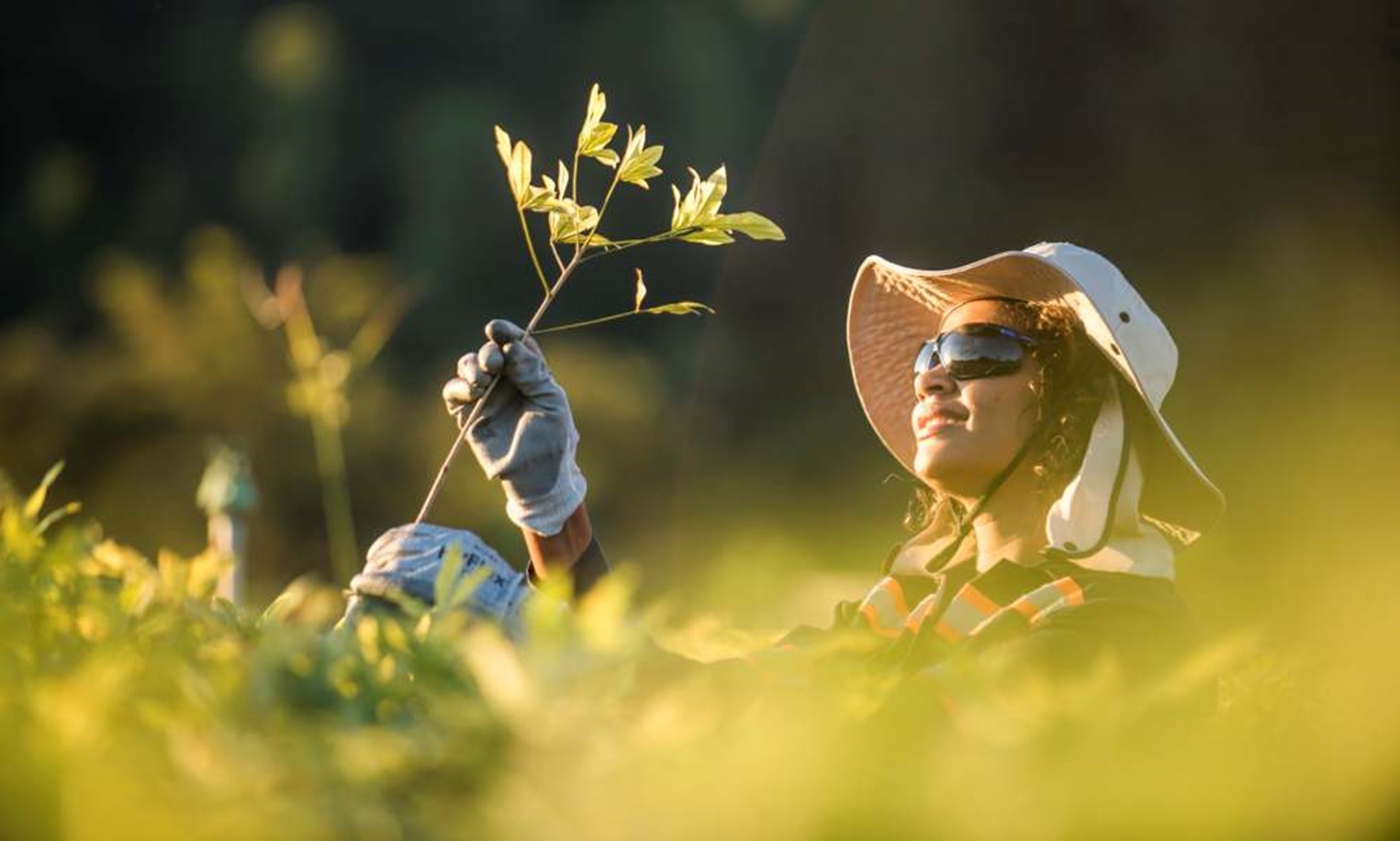 Sustentabilidade: como a produção de minério contribui para um futuro mais limpo