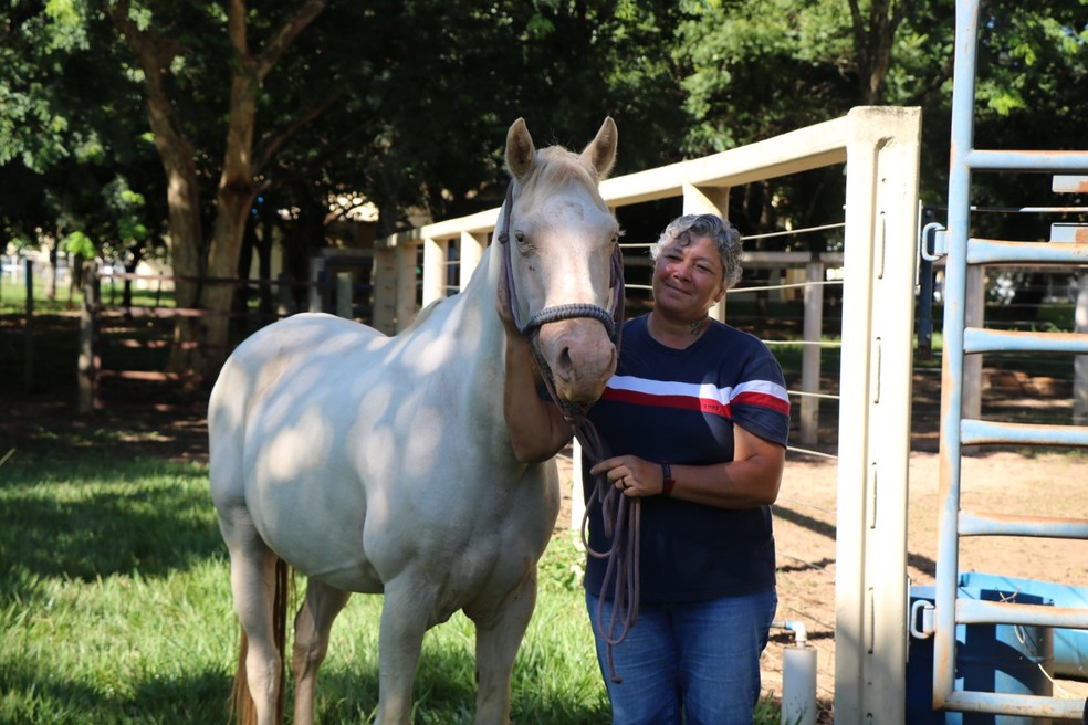 Otília e o cavalo Ringo, que foi tratado em um hospital veterinário de Araçatuba (SP) e voltou sozinho até o local um mês depois — Foto: Arquivo pessoal