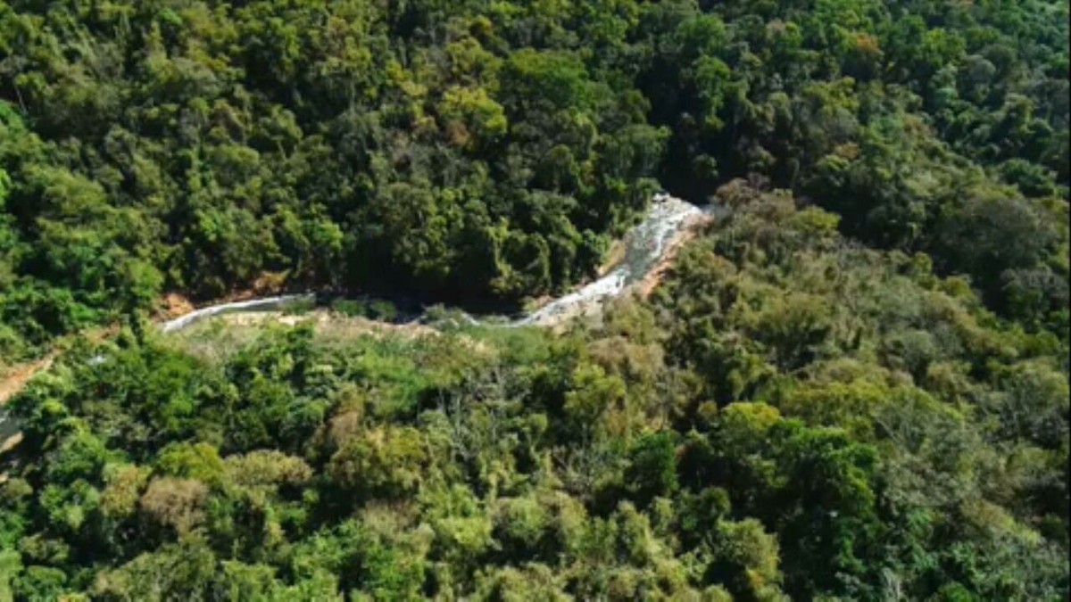 Mercado de crédito de carbono é o destaque da Globo Rural de março