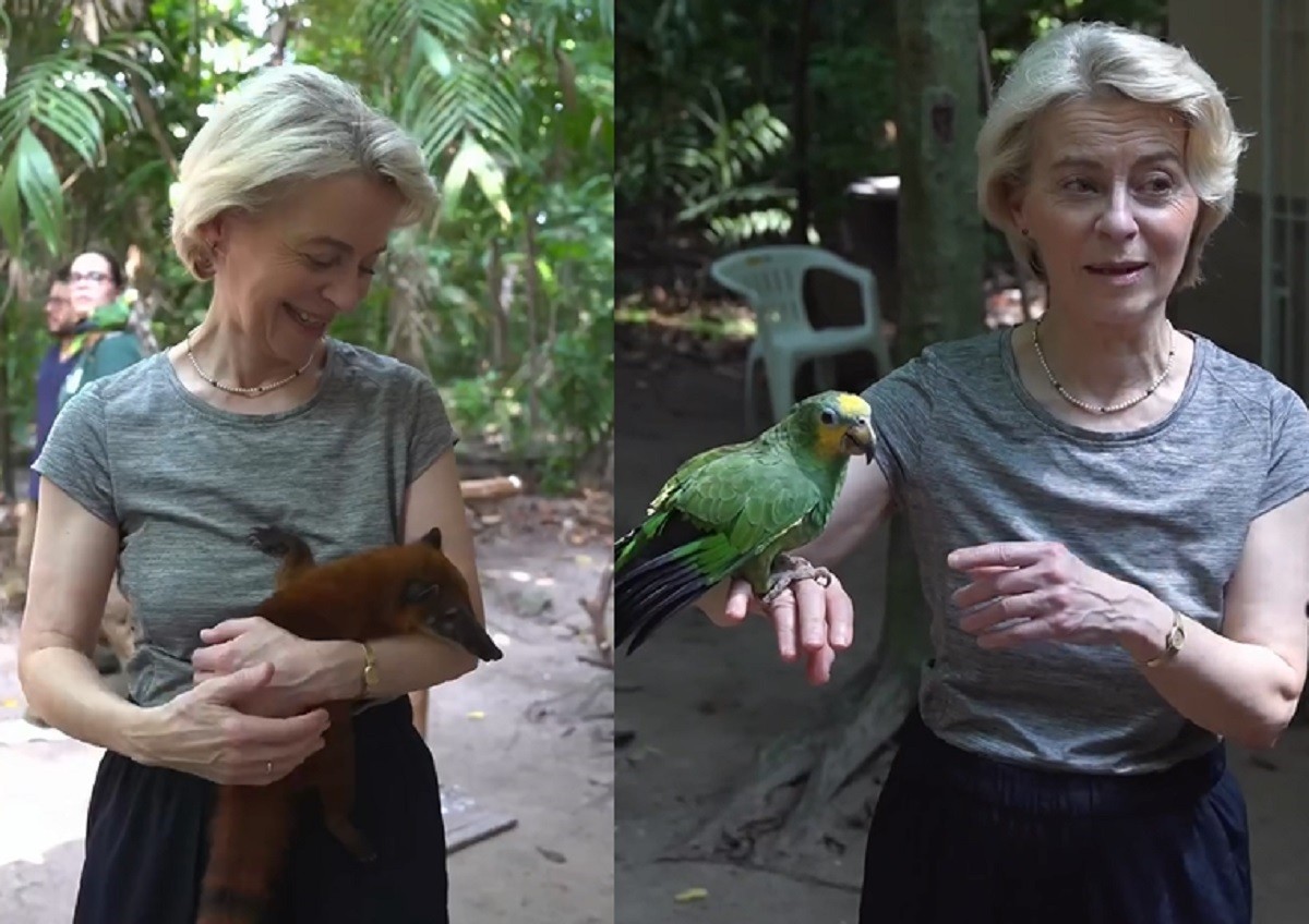 Ursula von der Leyen conhece e segura quati pela primeira vez durante visita a Belém; VÍDEO 