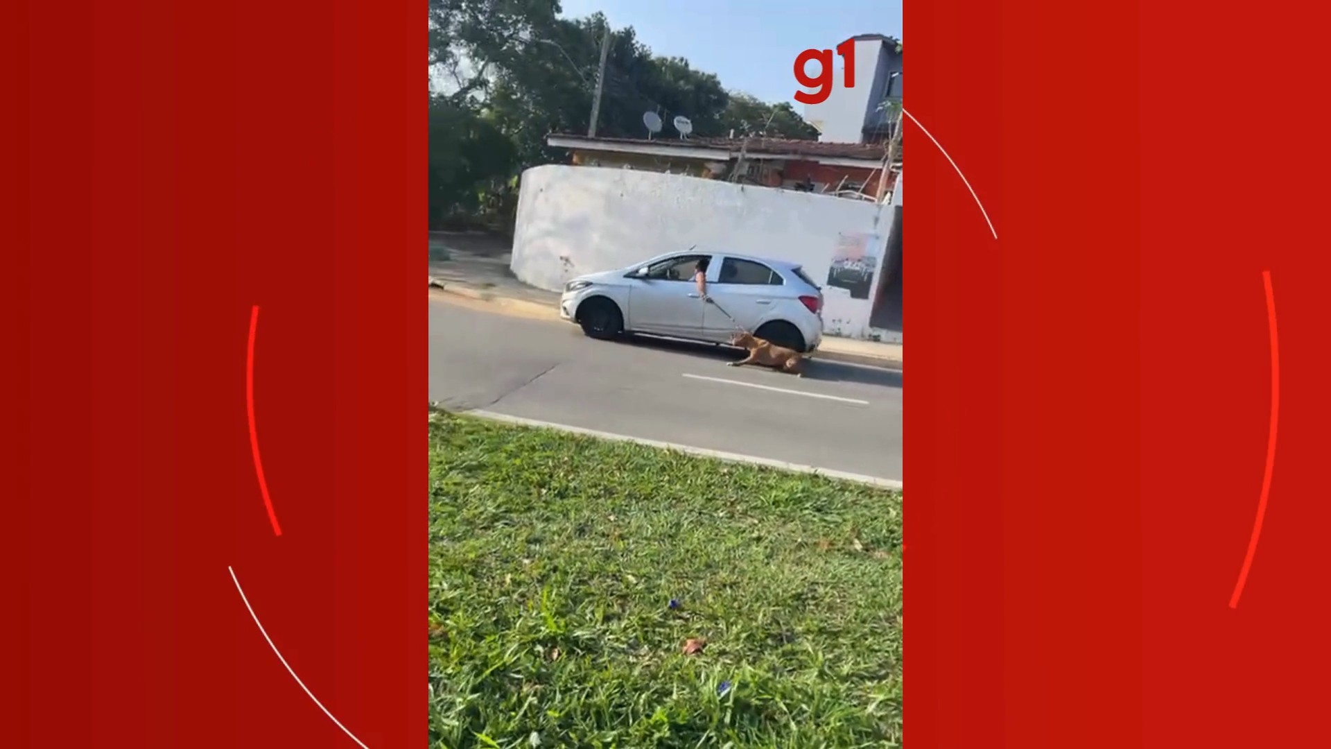 VÍDEO: Mulher arrasta cachorro pela coleira com carro em movimento em São José dos Campos
