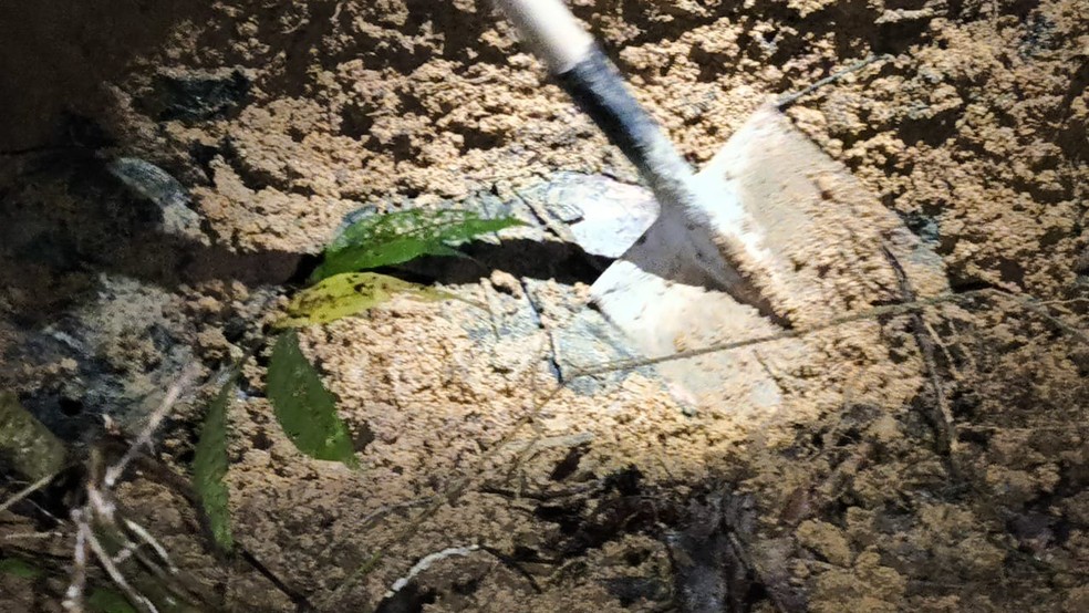 Tatuadora desaparecida é encontrada morta em cova rasa no interior do Pará  | G1