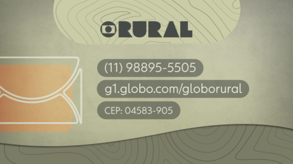 Globo Rural  Coleta de murumuru transforma a vida de agricultores