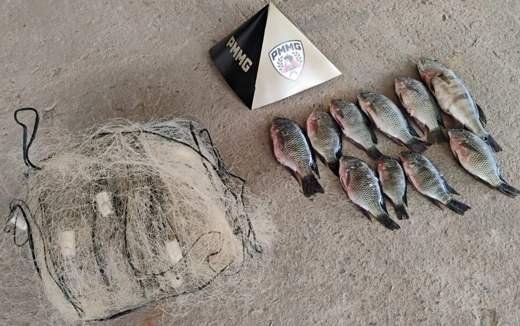 Três são presos por pesca ilegal no Lago de Furnas no último dia da piracema em MG