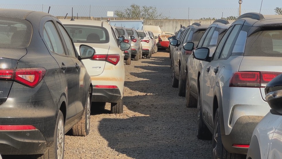 Carros em depósito em Nova Santa Rita — Foto: Reprodução/RBS TV
