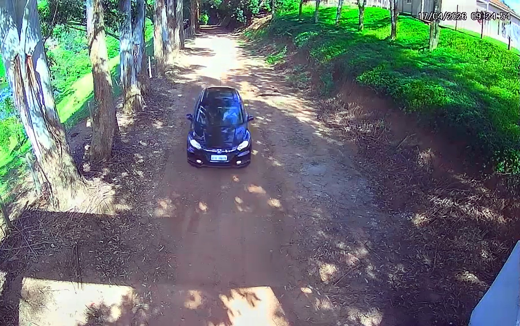 VÍDEO mostra farmacêutica chegando à fazenda na região de cafezal onde foi achada morta em MG