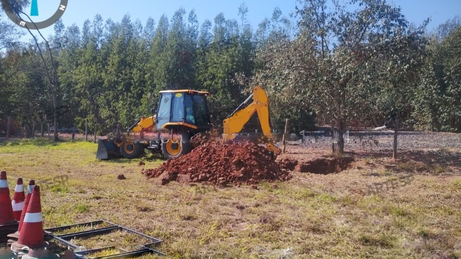 Motorista atropela e mata cinco bois em rodovia de Duartina 