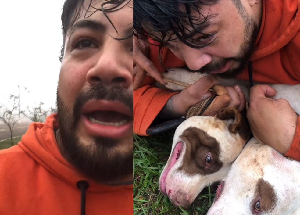 Professor de Muay Thai imobilizou cachorros. | Foto: Arquivo pessoal/Reprodução