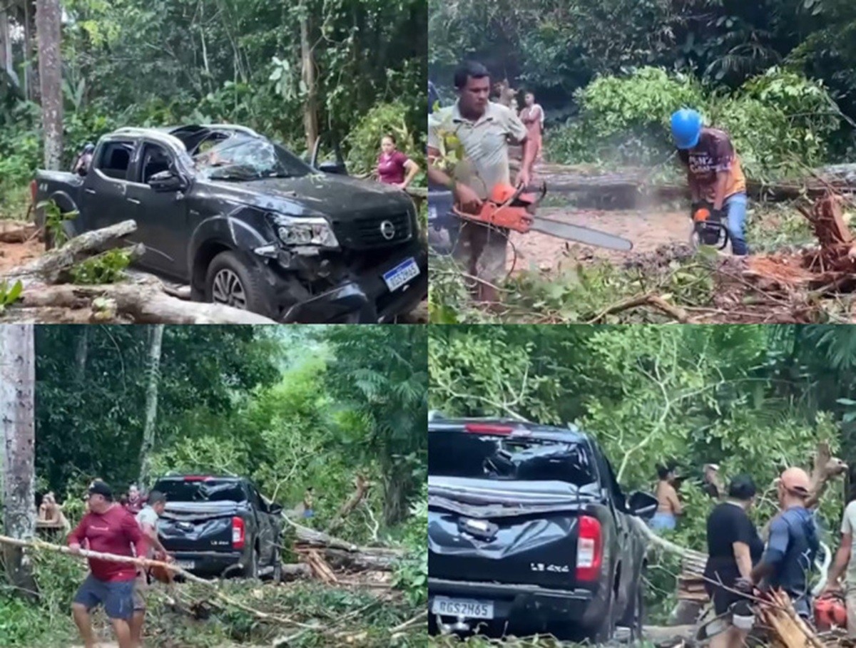 Temporal derruba árvores em balneário paraense e atinge caminhonete, mas sem feridos​‌​
