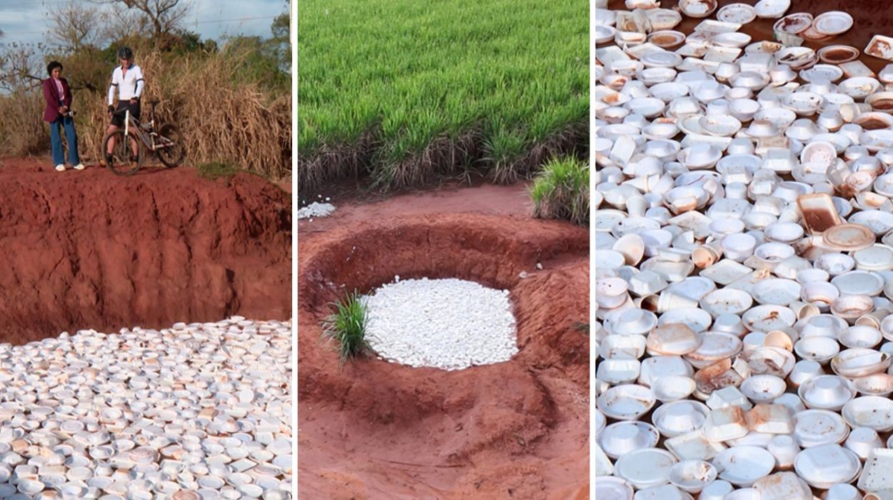 Vídeo mostra centenas de marmitas de isopor jogadas em estrada rural: ‘Cena horrível’
