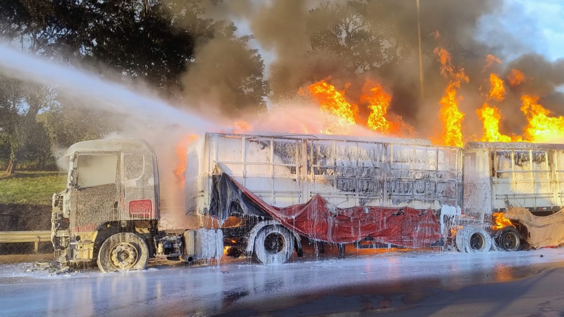VÍDEO: Carreta pega fogo na BR-050 e pista é totalmente interditada em Delta