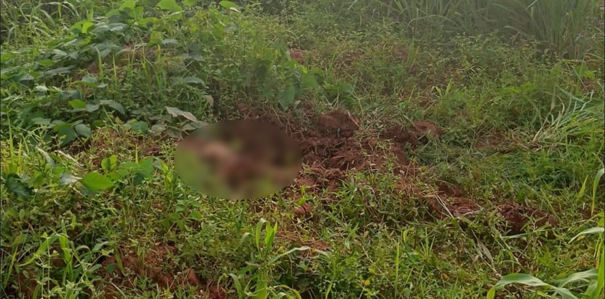 Trabalhadores encontram ossada humana durante manutenção de encanação em creche de MT