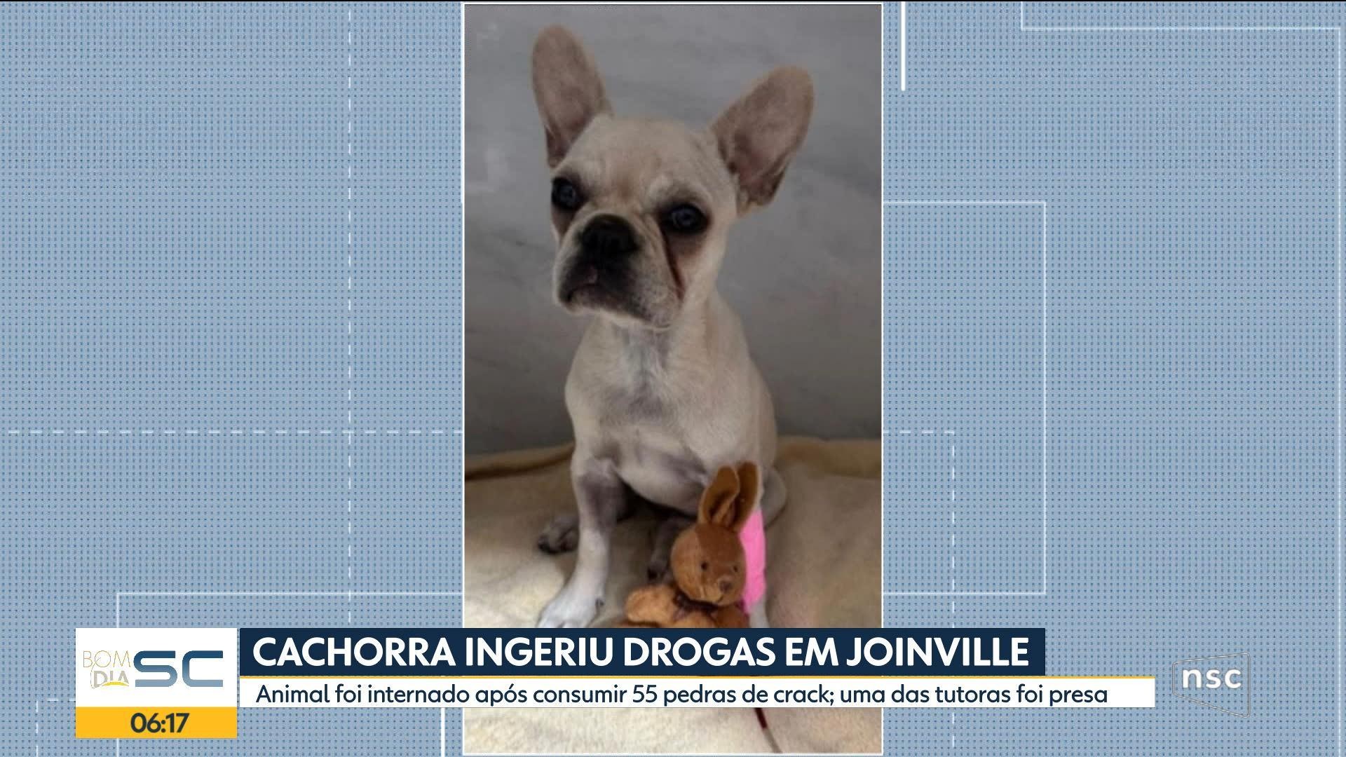 VÍDEOS: Bom Dia Santa Catarina de terça-feira, 21 de abril de 2026