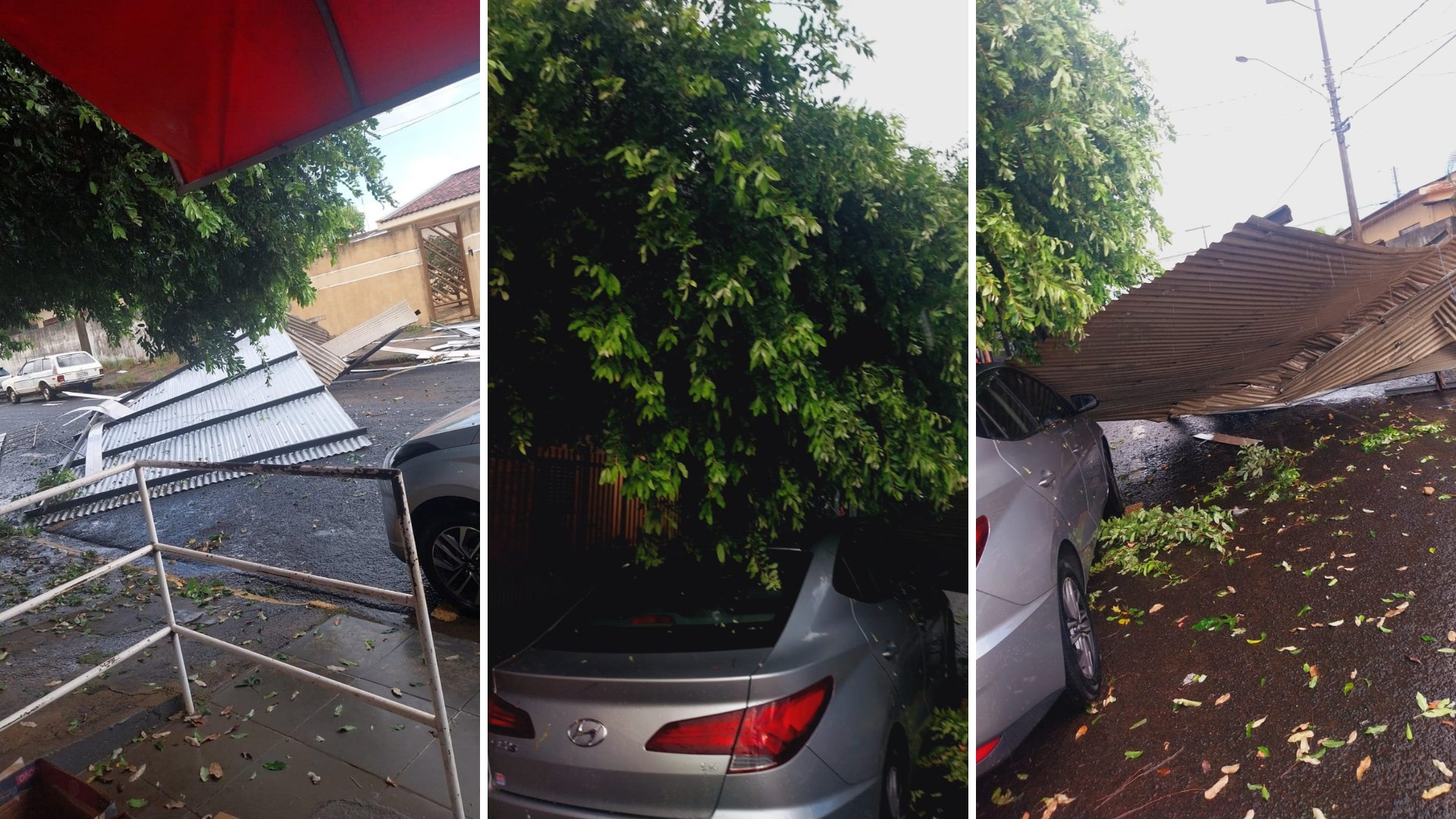 Temporal causa alagamentos, destelhamentos e queda de árvores em Fernandópolis