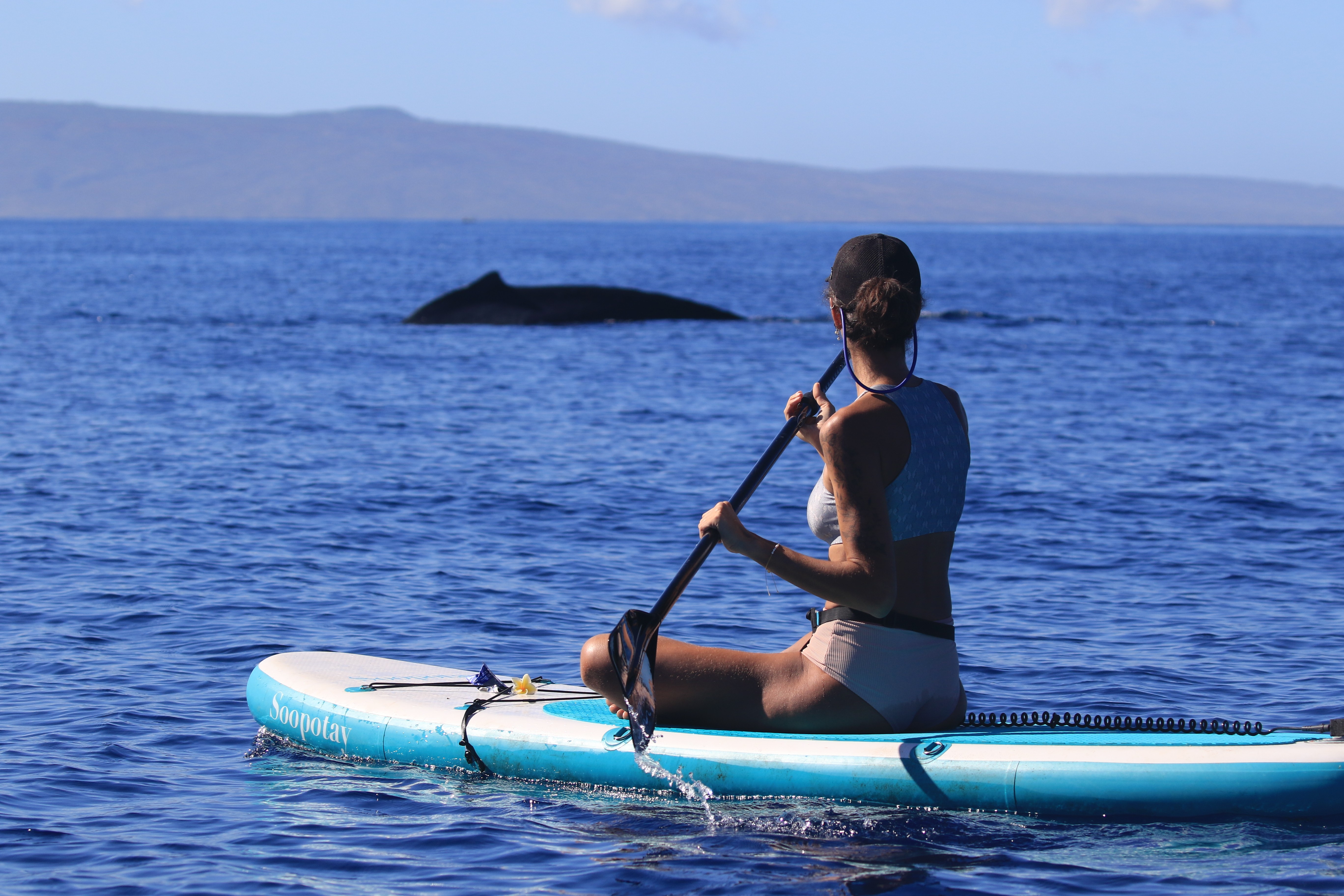 Vídeo mostra brasileira a poucos metros de baleias jubarte no Havaí