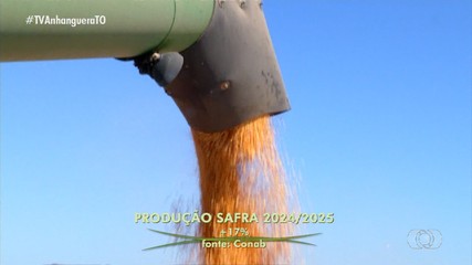 Produção da safra atinge 9,46 milhões de toneladas no Tocantins, aponta Conab