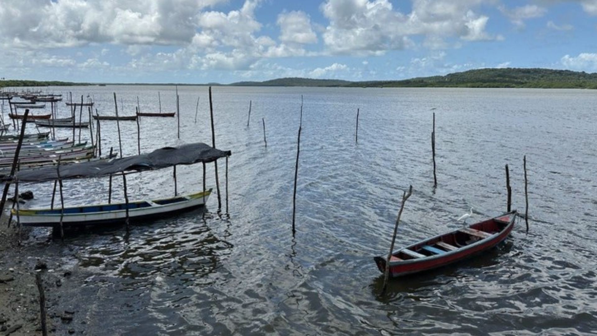 Mais de 1,4 mil pescadores têm licenças canceladas no Maranhão por irregularidades cadastrais