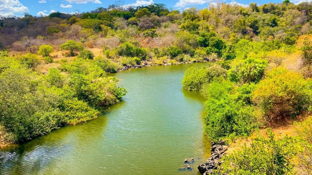 Desmatamento ilegal no Piauí registra queda de quase 68% no primeiro semestre