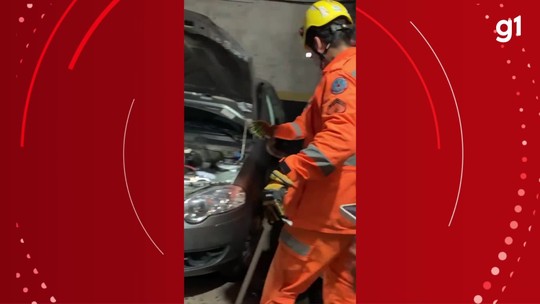 Vídeo mostra o momento em que cobra de um metro é capturada no motor de carro em MG - Programa: G1 Inter TV MG 