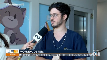 Saiba o que fazer após mordida de animal doméstico