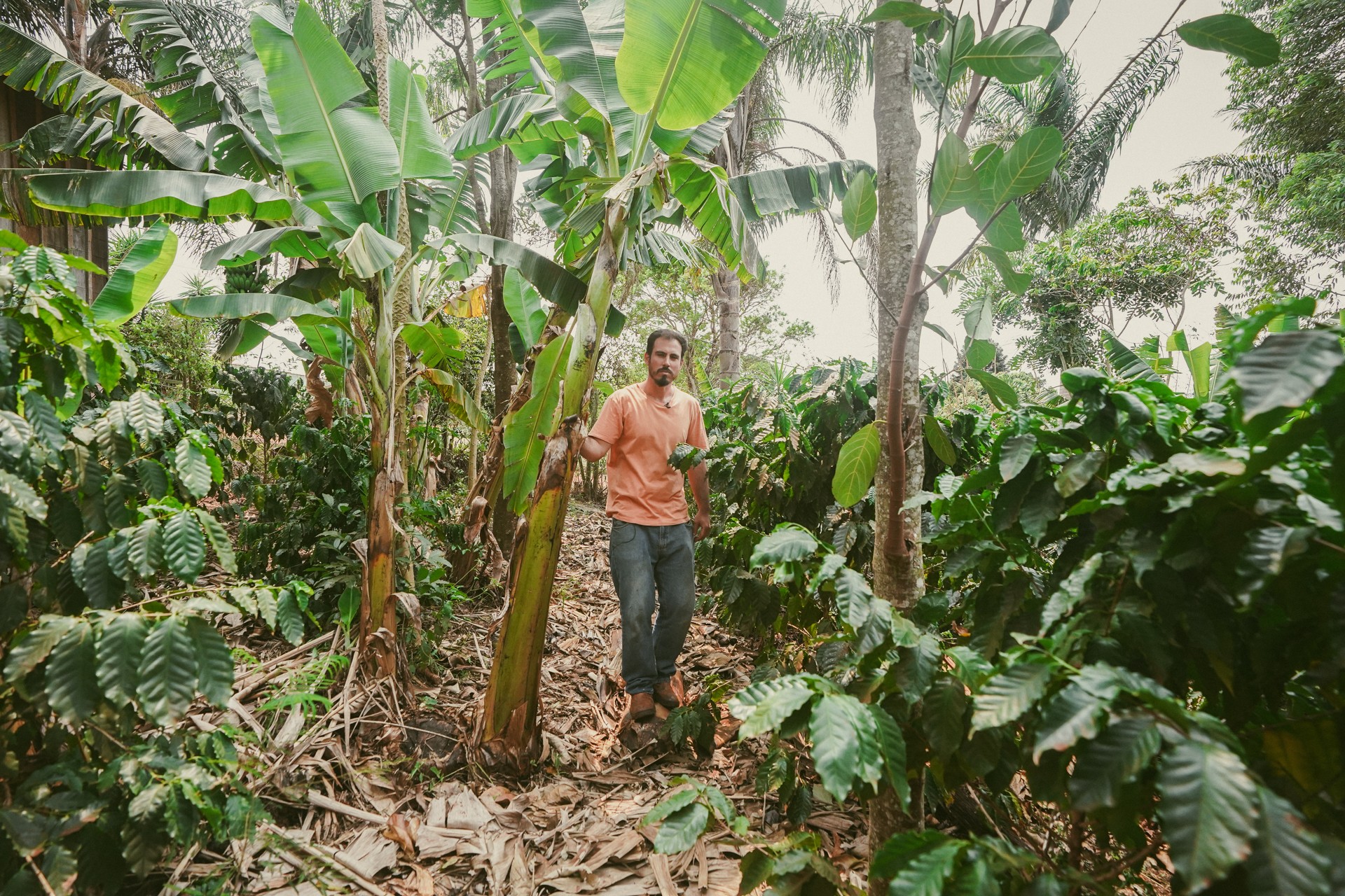 Agrofloresta, Sitio Berelu em Cerqueira César (SP)