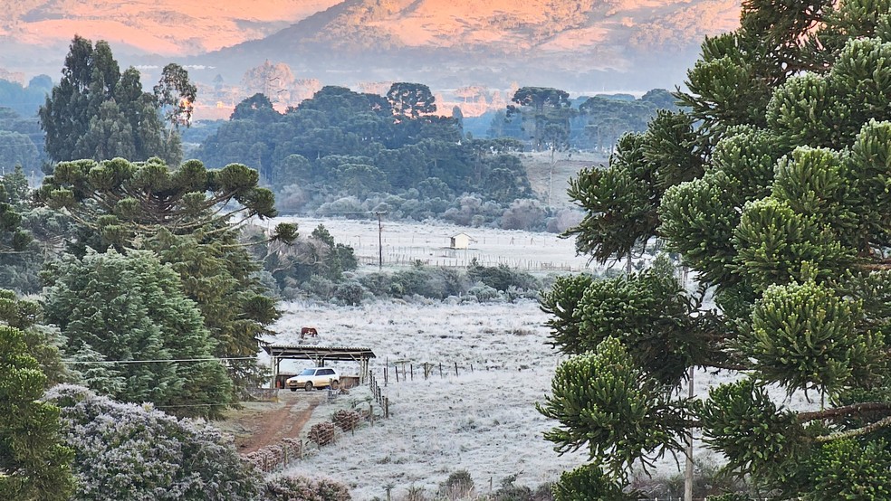 Vegetação coberta por geada em Bom Jardim da Serra na quarta-feira (11) — Foto: Sérgio Felipe Rodrigues/Arquivo Pessoal