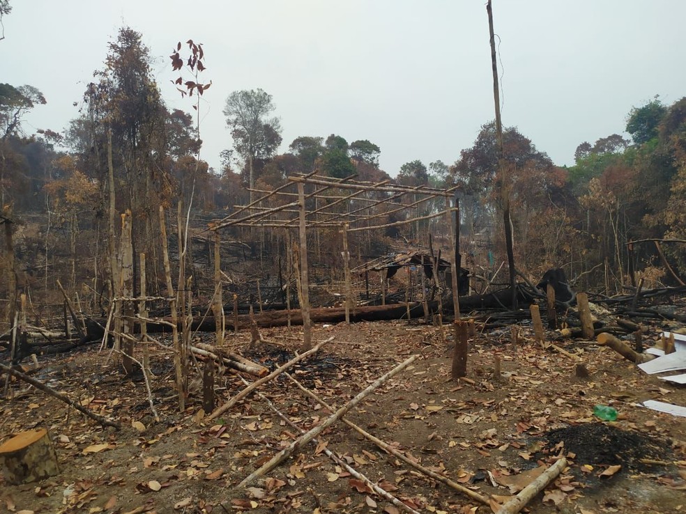 Mais de 60 pessoas foram presas suspeitas de desmatar e queimar área verde, no Distrito Industrial, em Manaus. — Foto: Divulgação/Polícia Militar