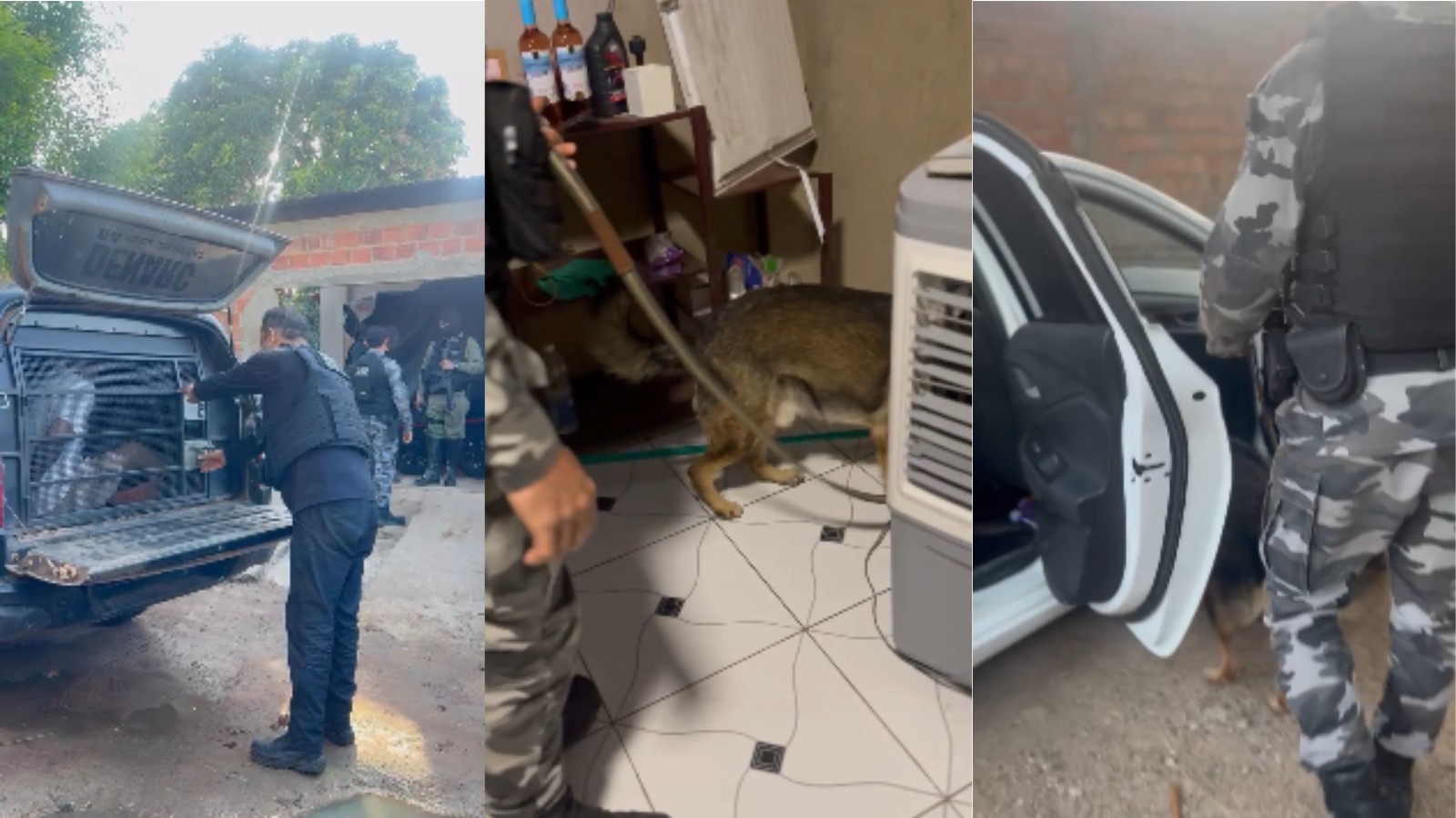 Trinta 'bocas de fumo' são fiscalizadas e suspeitos de tráfico de drogas são presos em Teresina