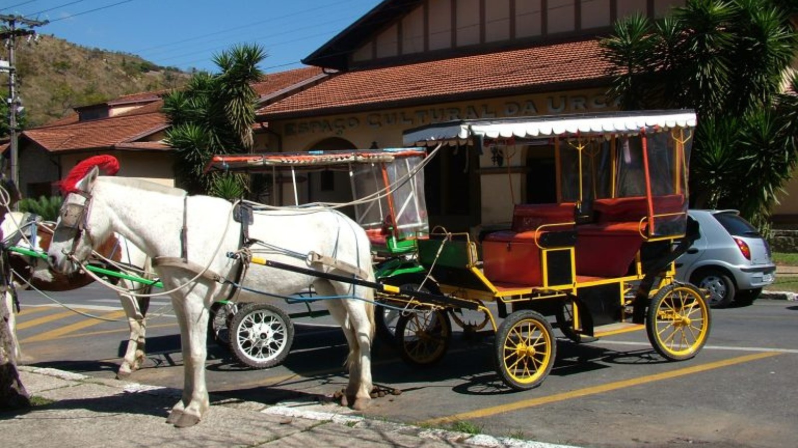 Poços extingue charretes e inicia implantação de carruagens elétricas