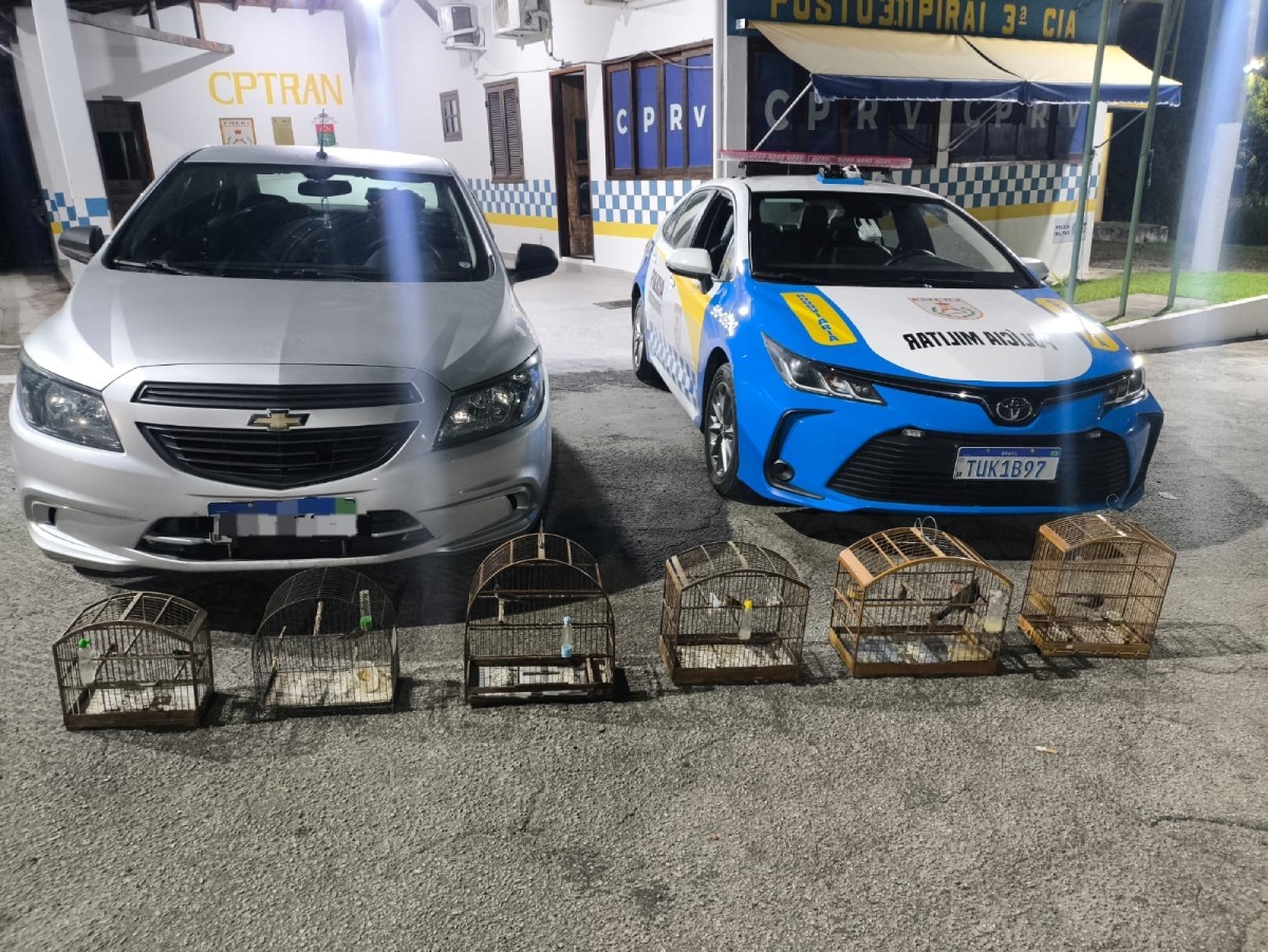 Homem é detido com seis pássaros silvestres na RJ-145, em Piraí 