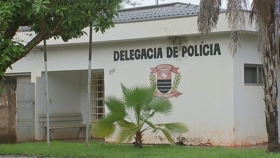 Delegacia de Polícia de Mirassolândia (SP) vai investigar morte de suspeitos de furto de gado, durante confronto com policiais militares, na área rural, na noite de terça (14) — Foto: TV TEM/Reprodução