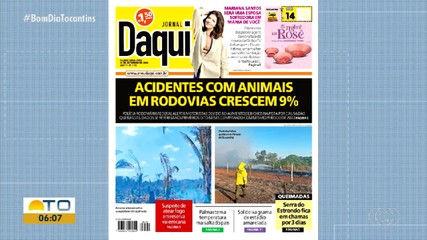 Crescimento de acidentes com animais nas estradas do estado é destaque no Jornal Daqui