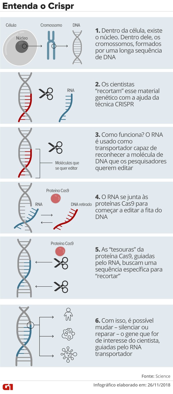 DNA Empreendedor: faça um teste e receba treinamento para ter