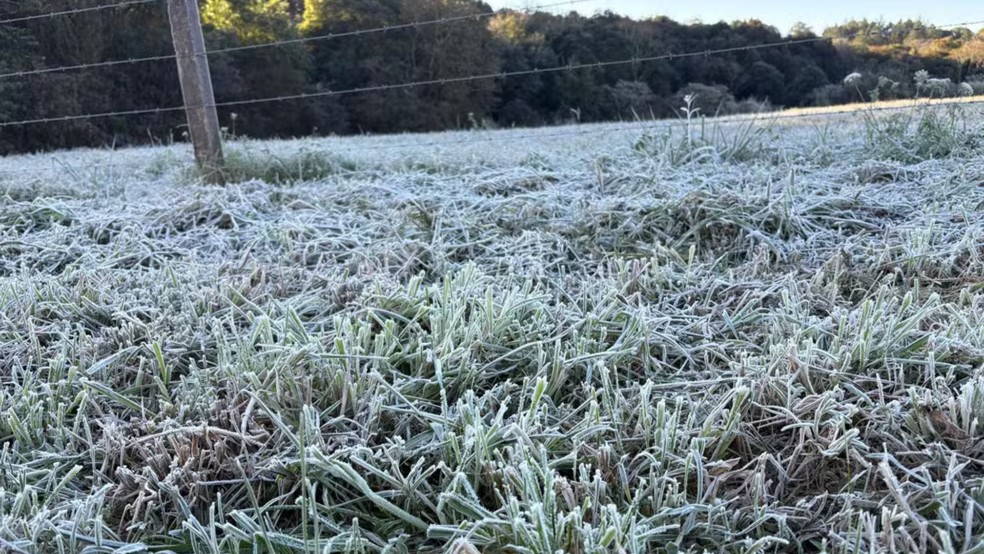 Com risco de geada, Rio Grande do Sul terá os primeiros dias de frio intenso de 2026 — Foto: Leo Bartz/RBS TV