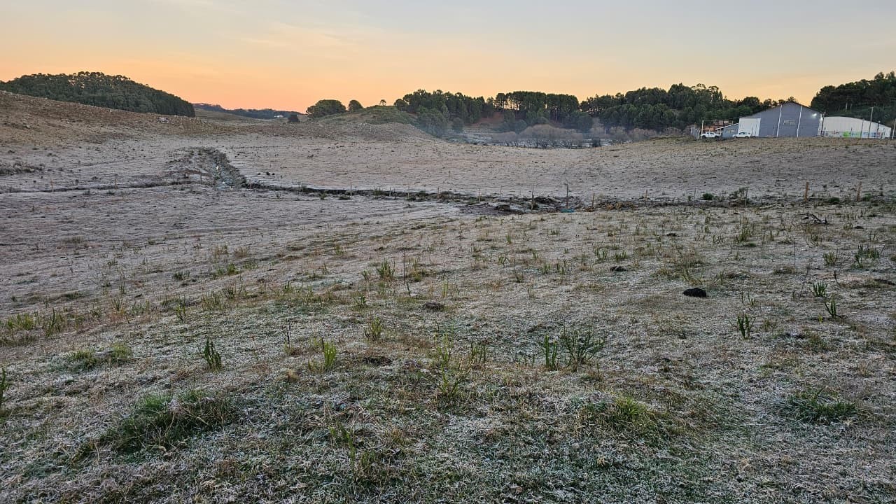Termômetros despencam e Serra de SC tem amanhecer mais frio do ano com mínima de -6,7°C 
