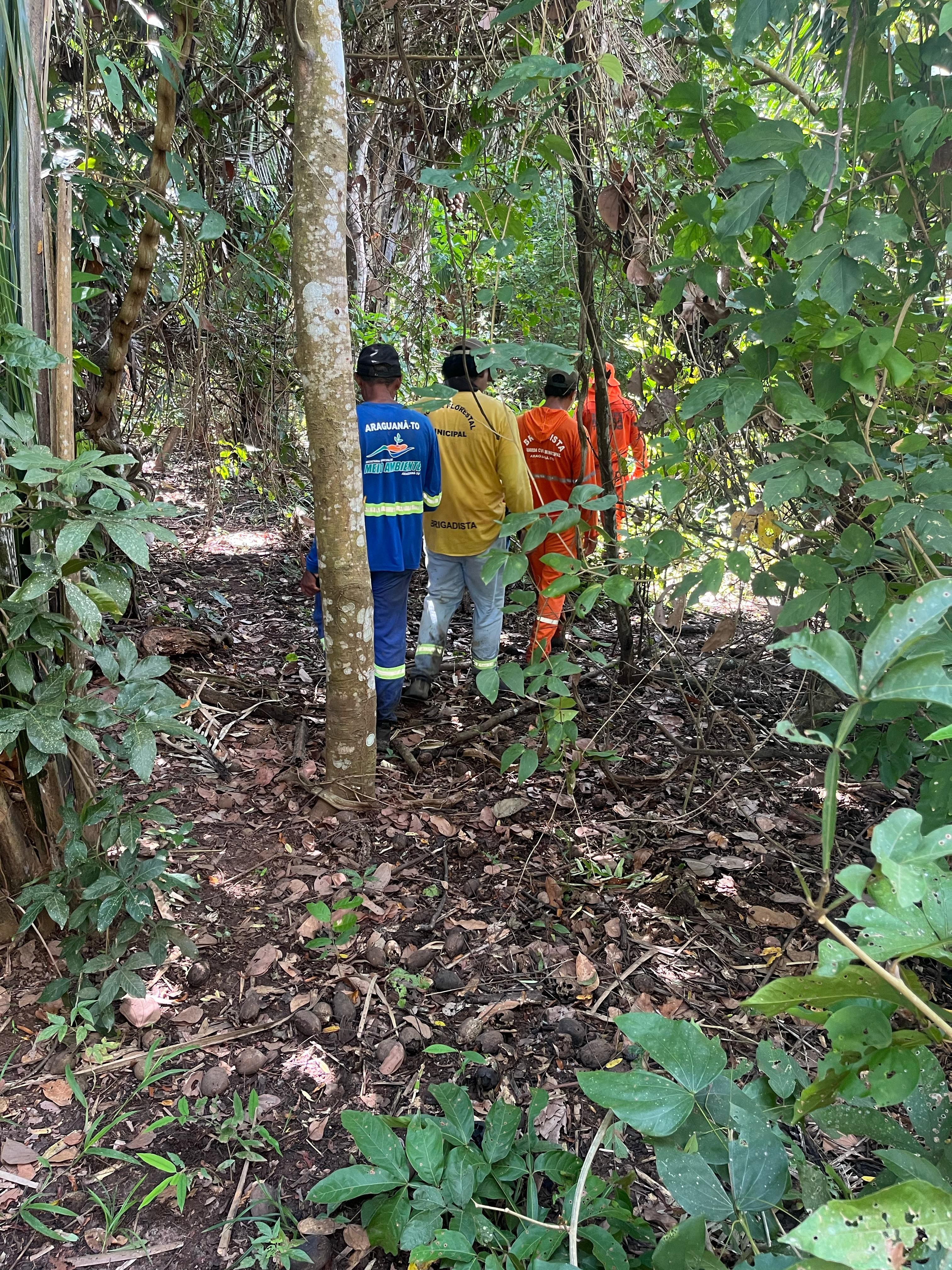 Bombeiros buscam homem desaparecido há cinco dias em zona rural 